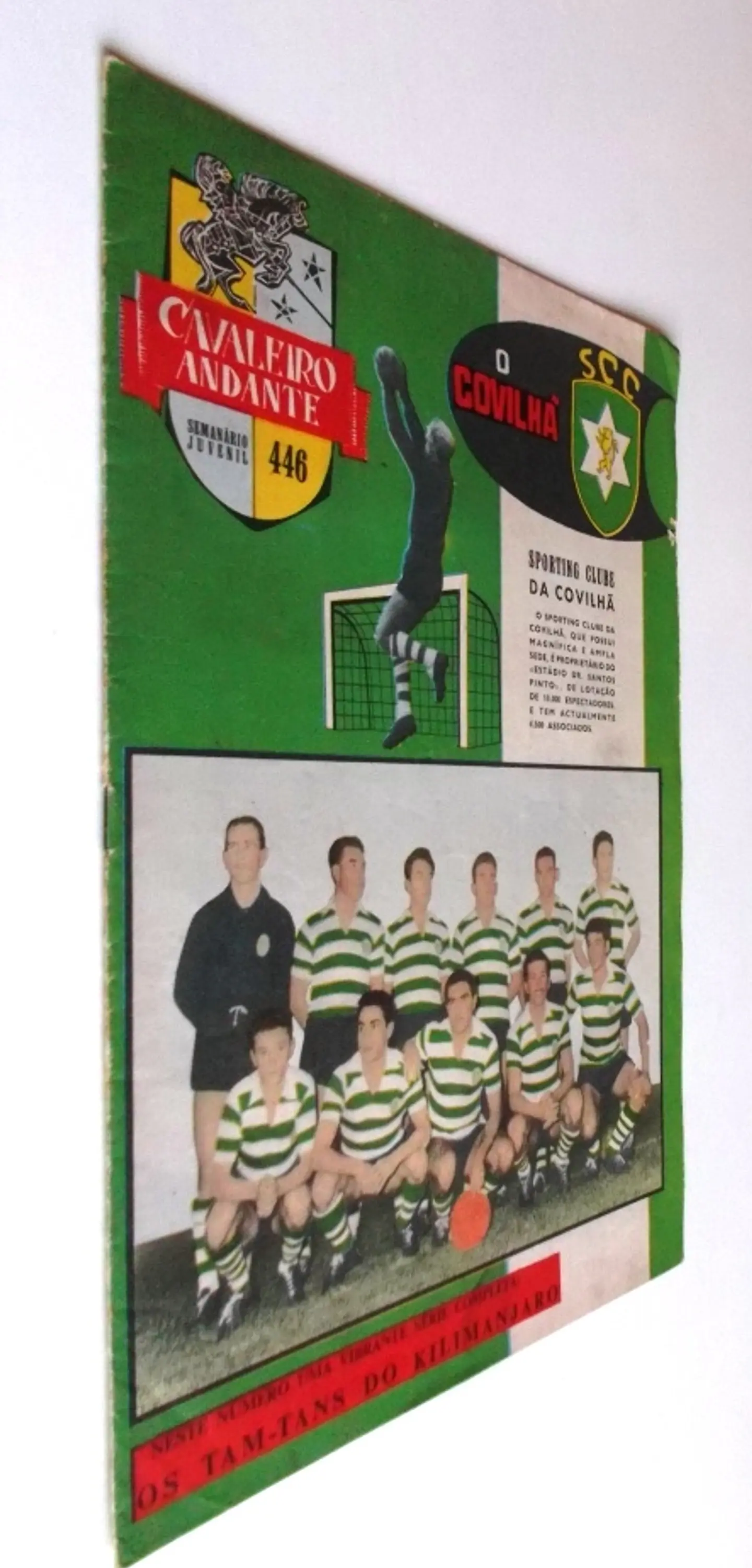 Cavaleiro Andante 446 2