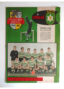 Cavaleiro Andante 446