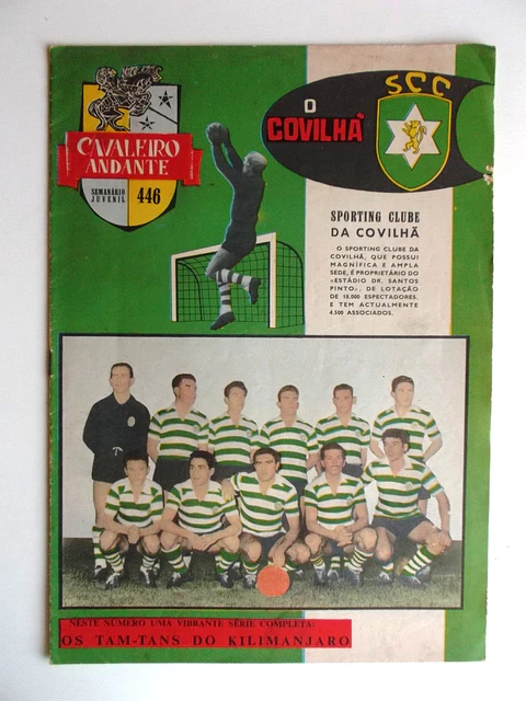 Cavaleiro Andante 446