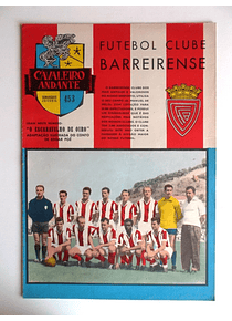 Cavaleiro Andante 453