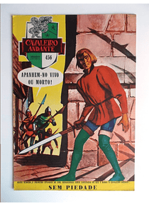 Cavaleiro Andante 456
