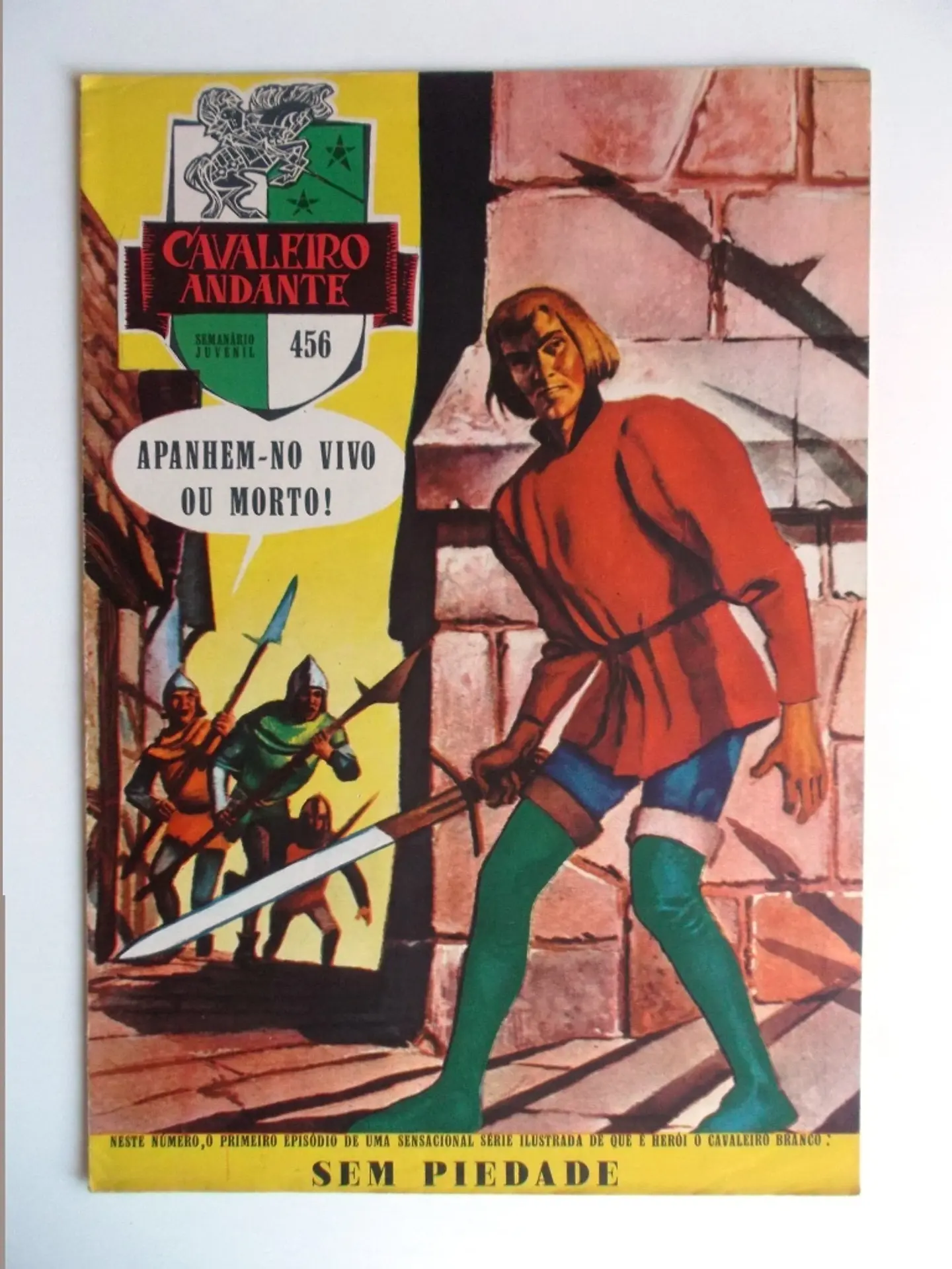 Cavaleiro Andante 456 1