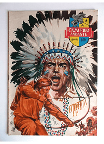 Cavaleiro Andante 460