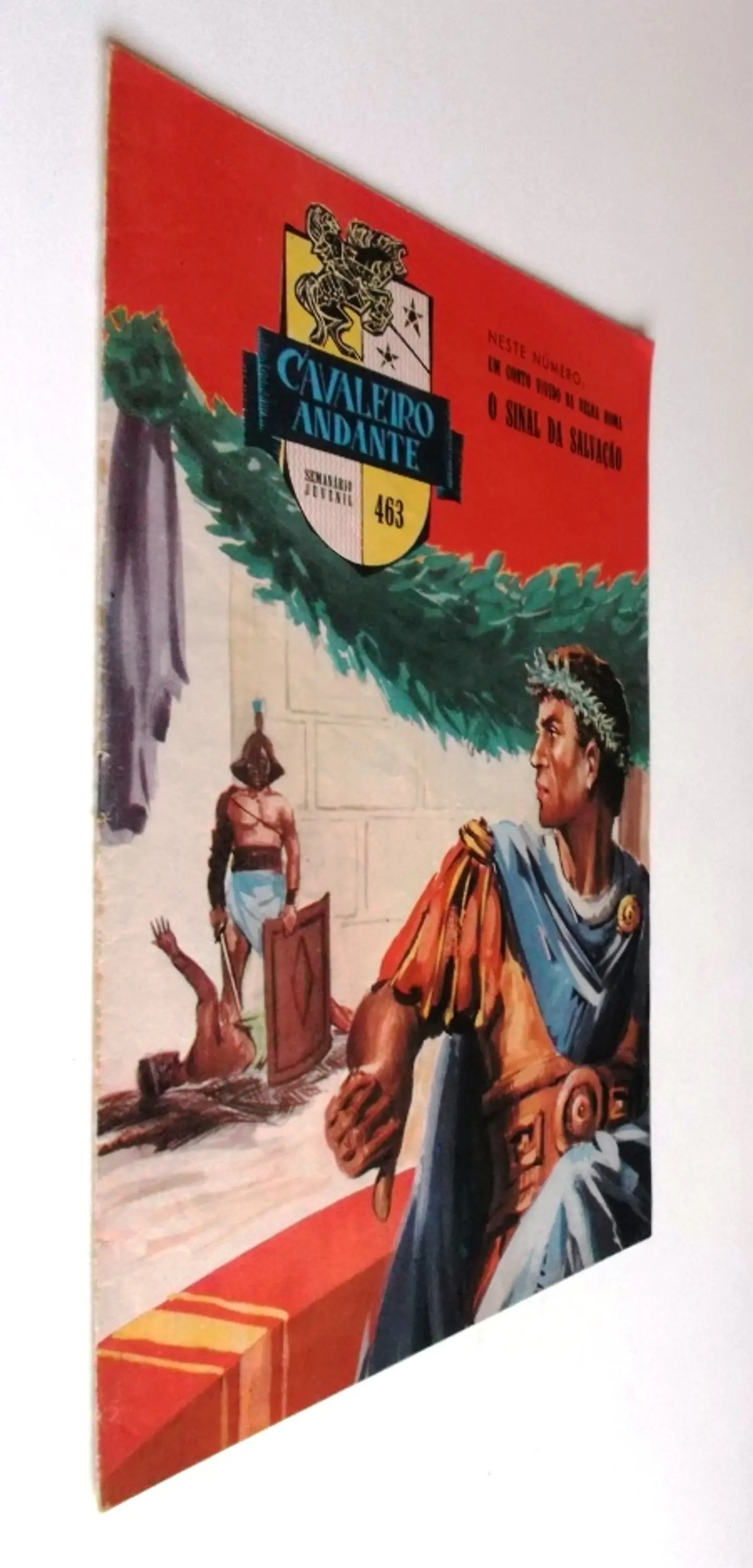 Cavaleiro Andante 463 2