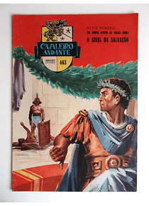 Cavaleiro Andante 463