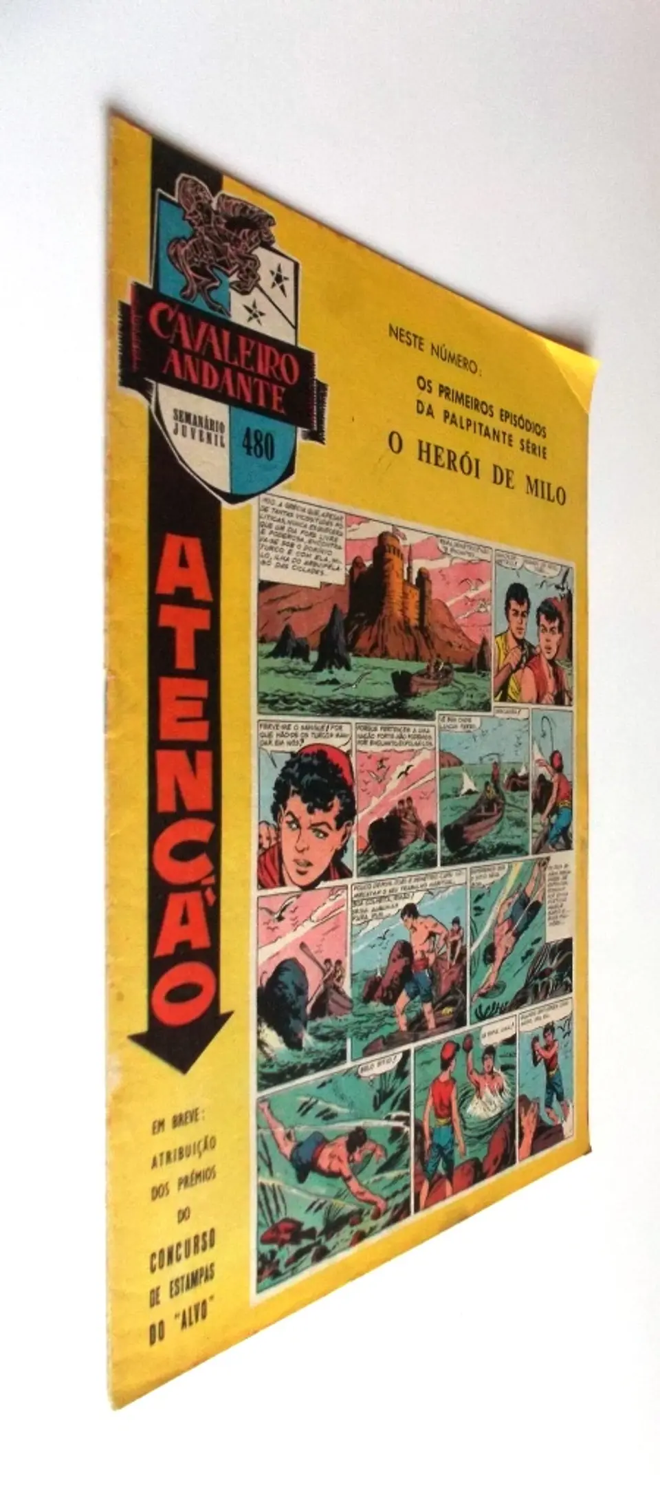 Cavaleiro Andante 480 3