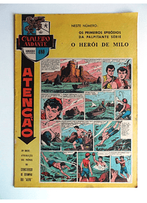 Cavaleiro Andante 480