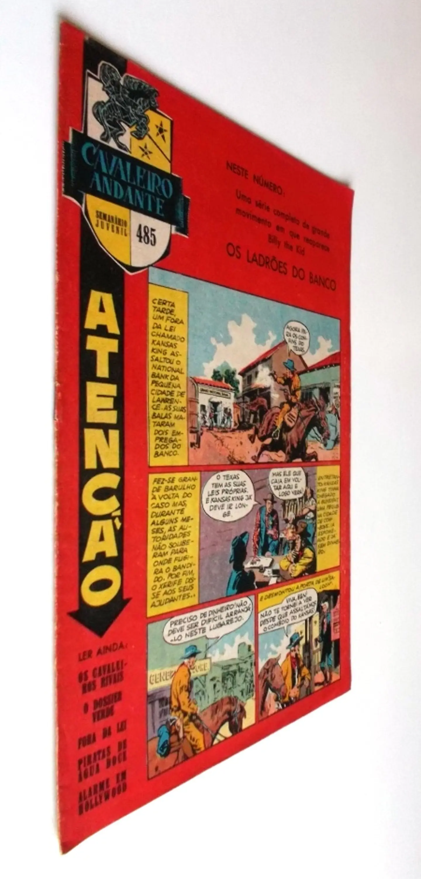 Cavaleiro Andante 485 2