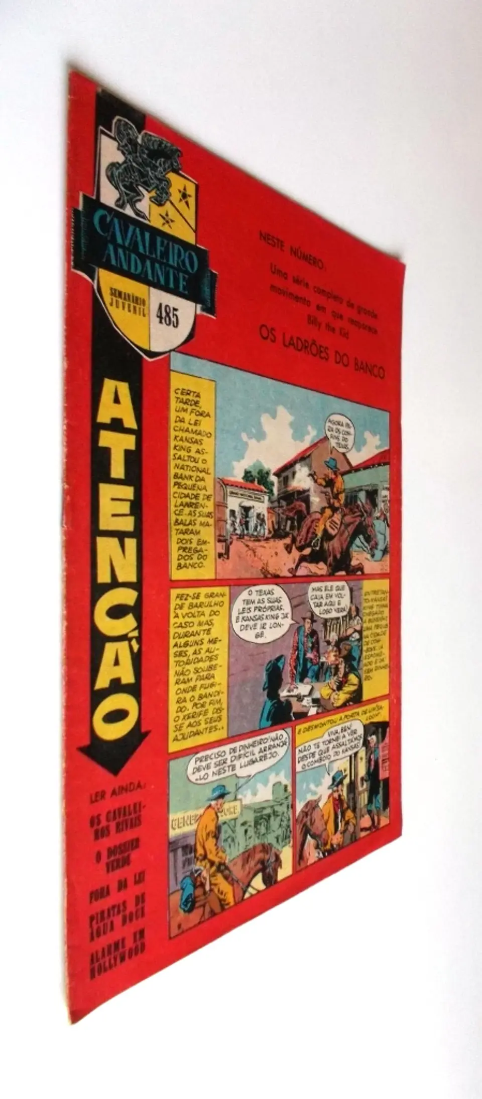 Cavaleiro Andante 485 2