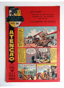 Cavaleiro Andante 485