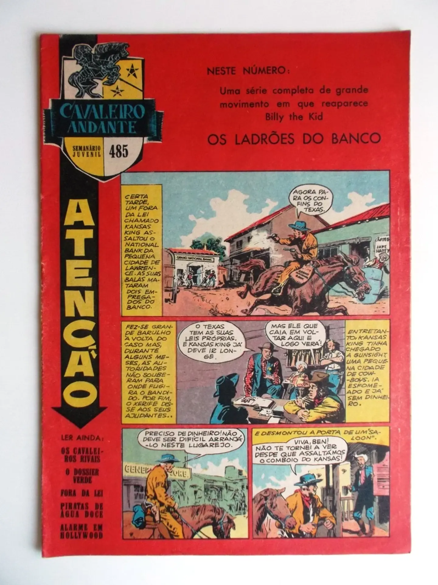 Cavaleiro Andante 485 1