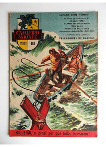 Cavaleiro Andante 486