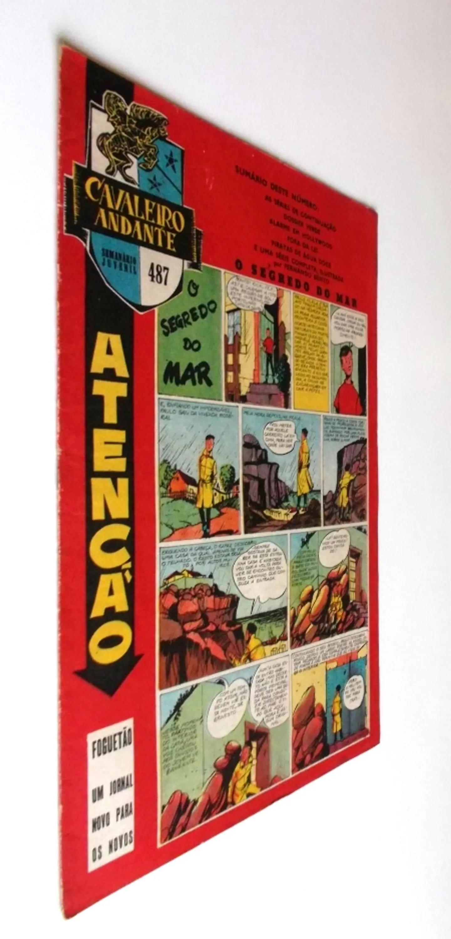 Cavaleiro Andante 487 2