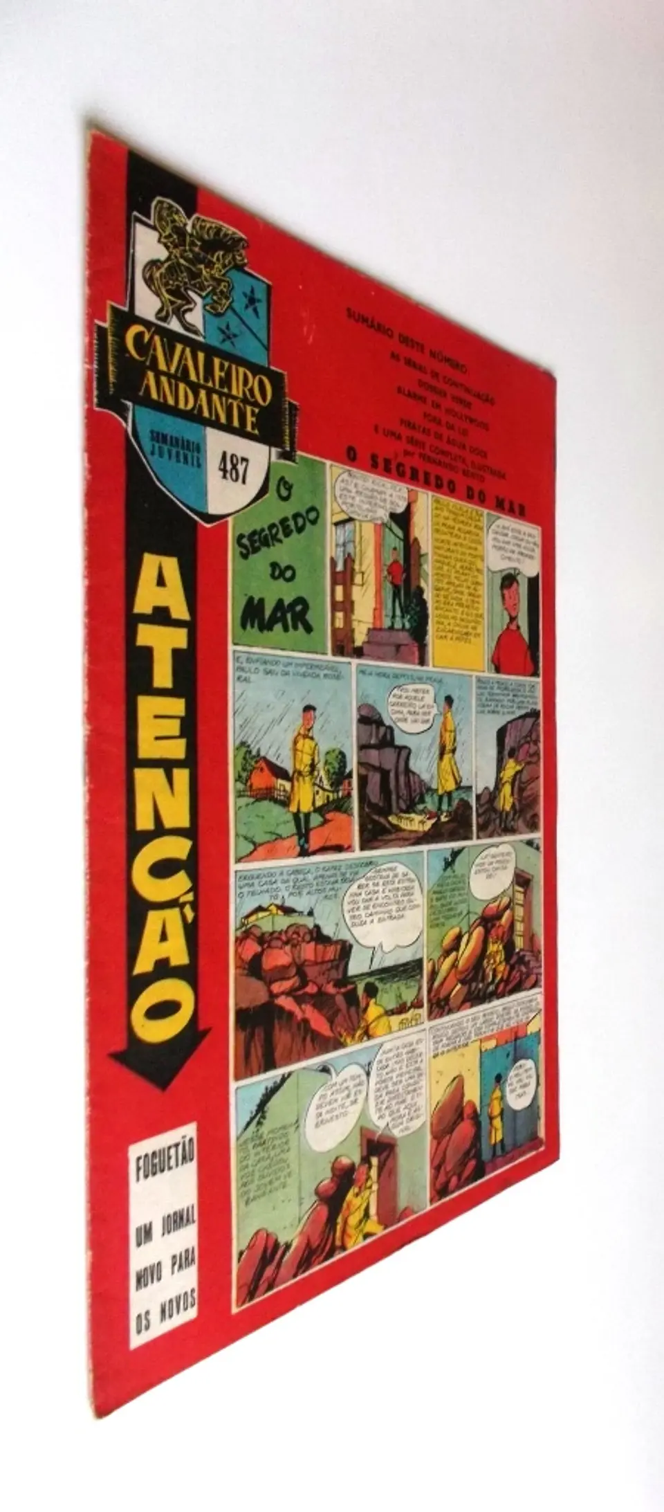 Cavaleiro Andante 487 2