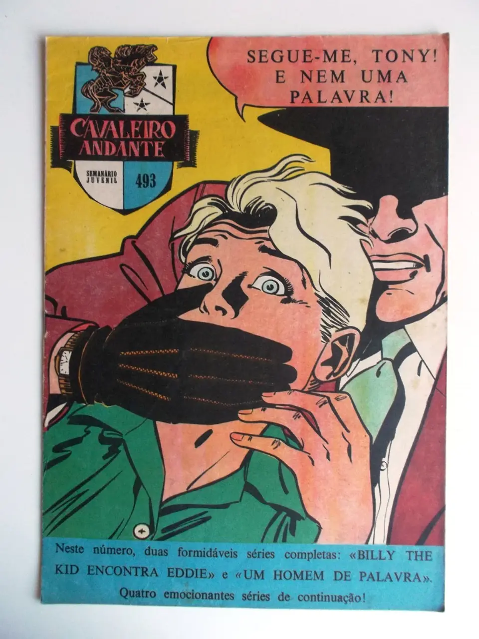 Cavaleiro Andante 493 1