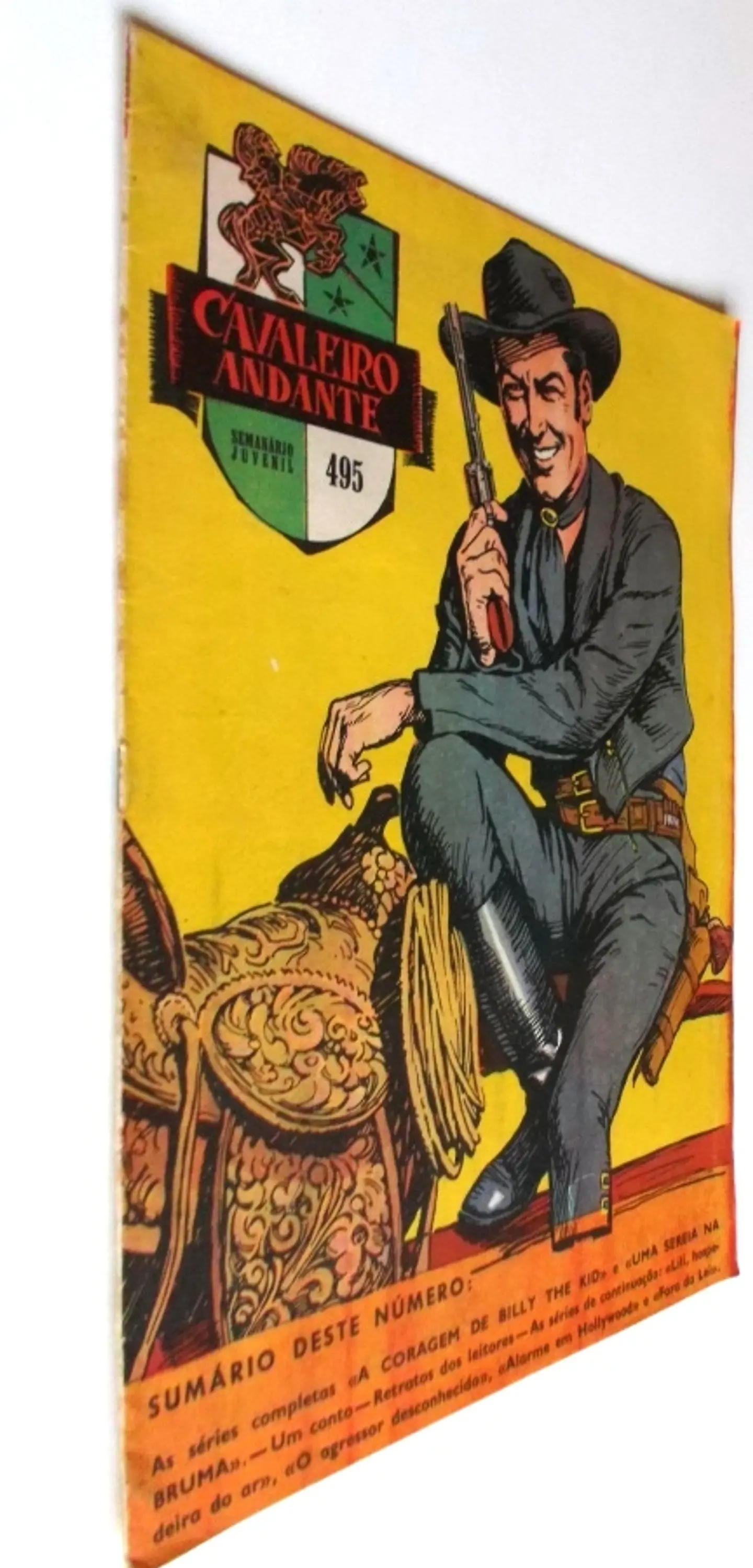 Cavaleiro Andante 495 2