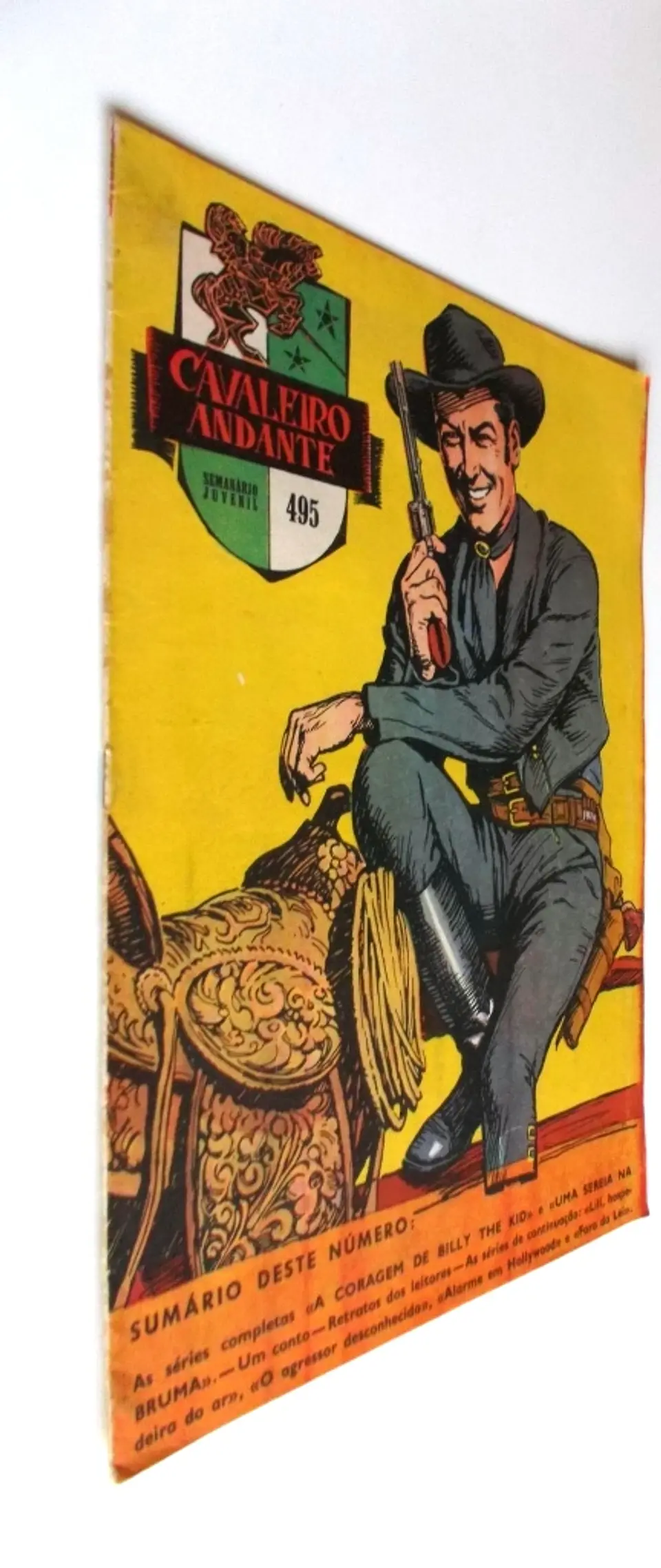 Cavaleiro Andante 495 2