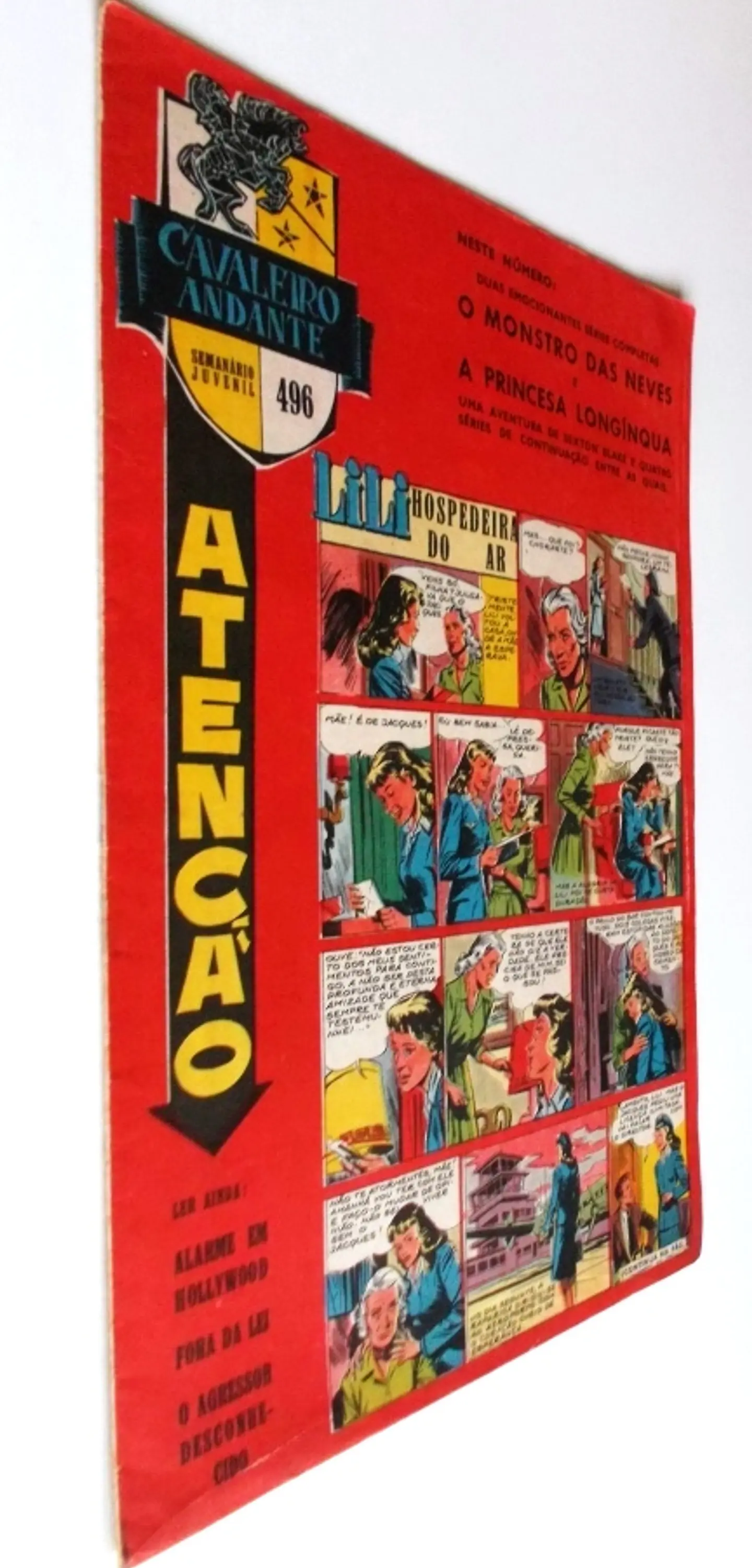 Cavaleiro Andante 496 2