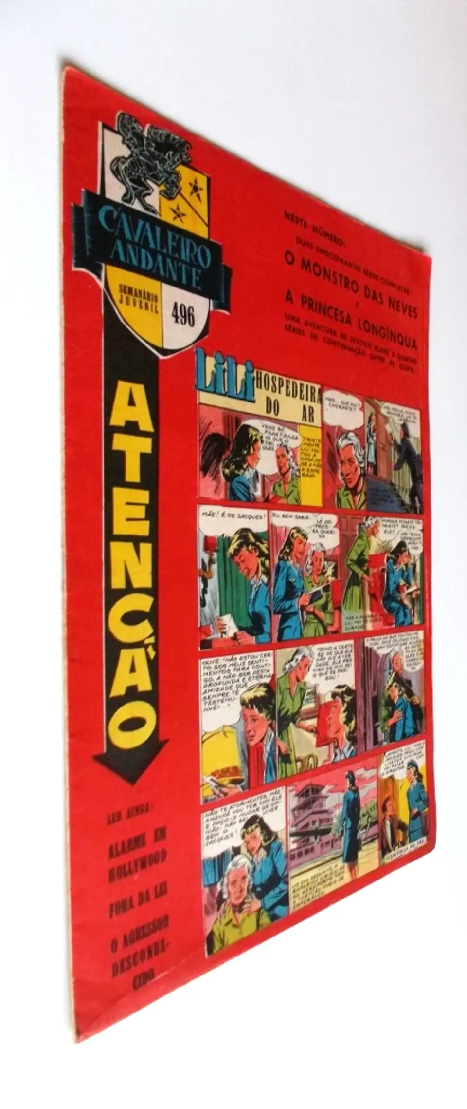 Cavaleiro Andante 496 2