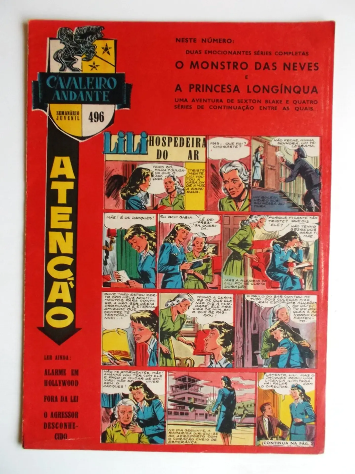 Cavaleiro Andante 496 1