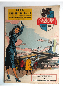 Cavaleiro Andante 499