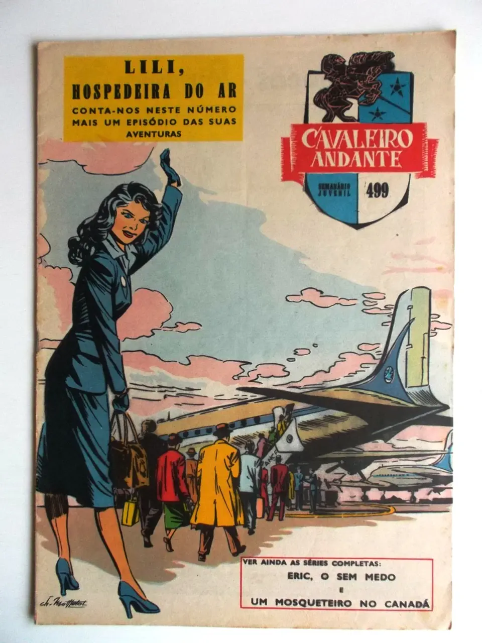 Cavaleiro Andante 499 1
