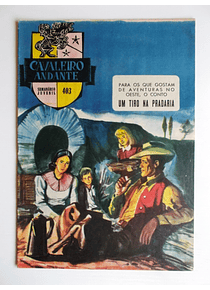 Cavaleiro Andante 403