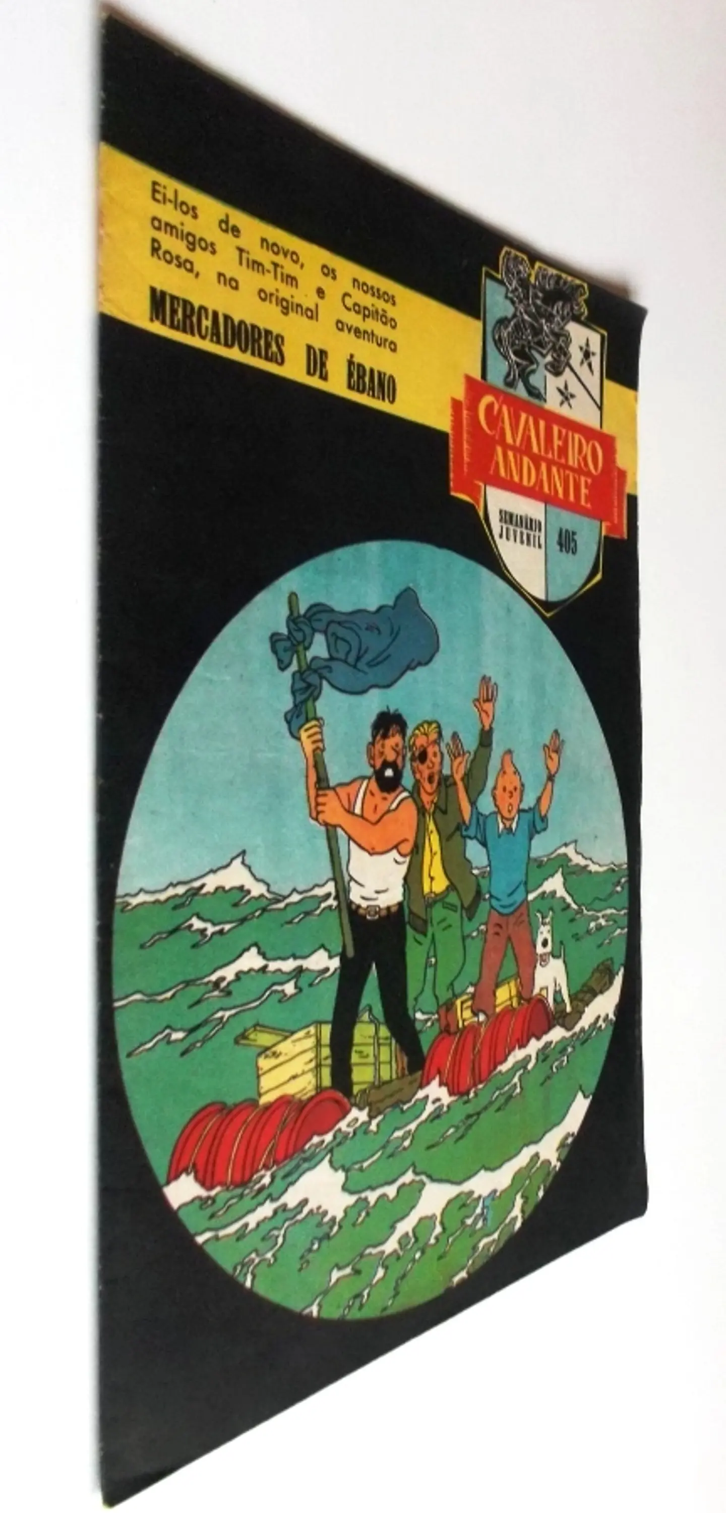 Cavaleiro Andante 405 2