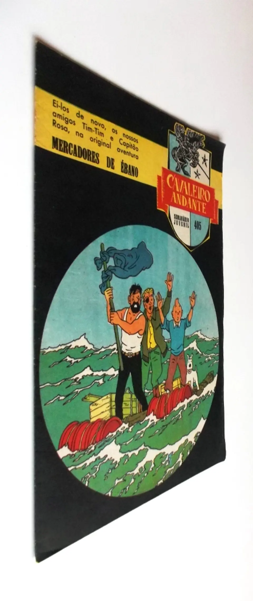 Cavaleiro Andante 405 2