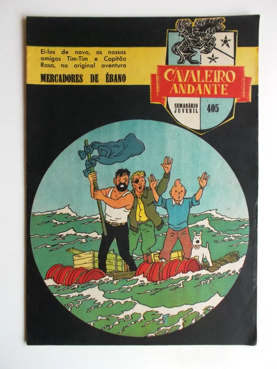 Cavaleiro Andante 405 1