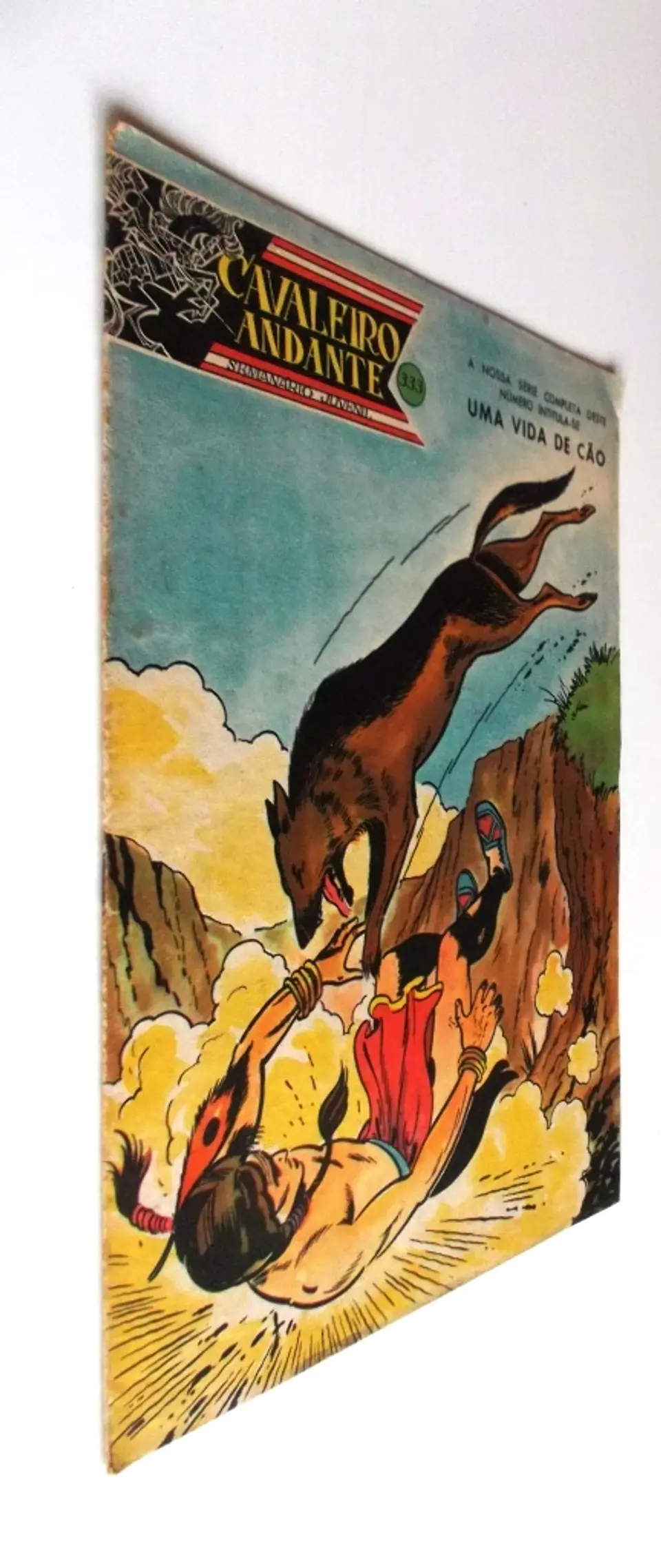 Cavaleiro Andante 333 2