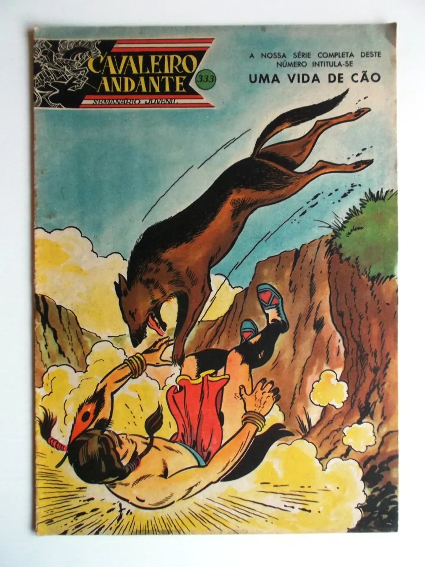 Cavaleiro Andante 333 1