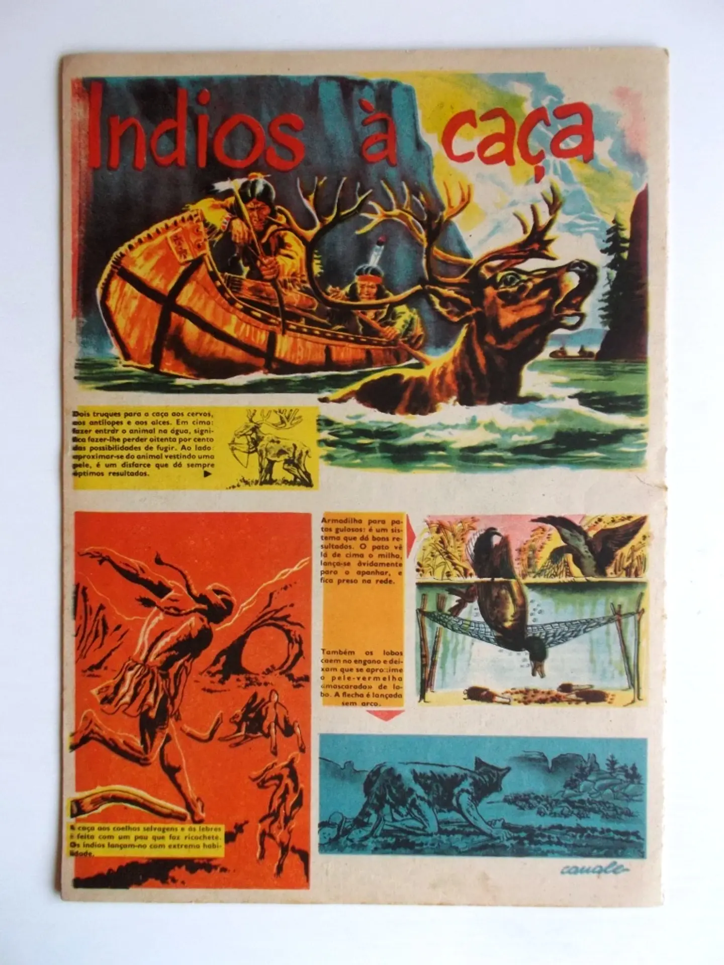 Cavaleiro Andante 347 3