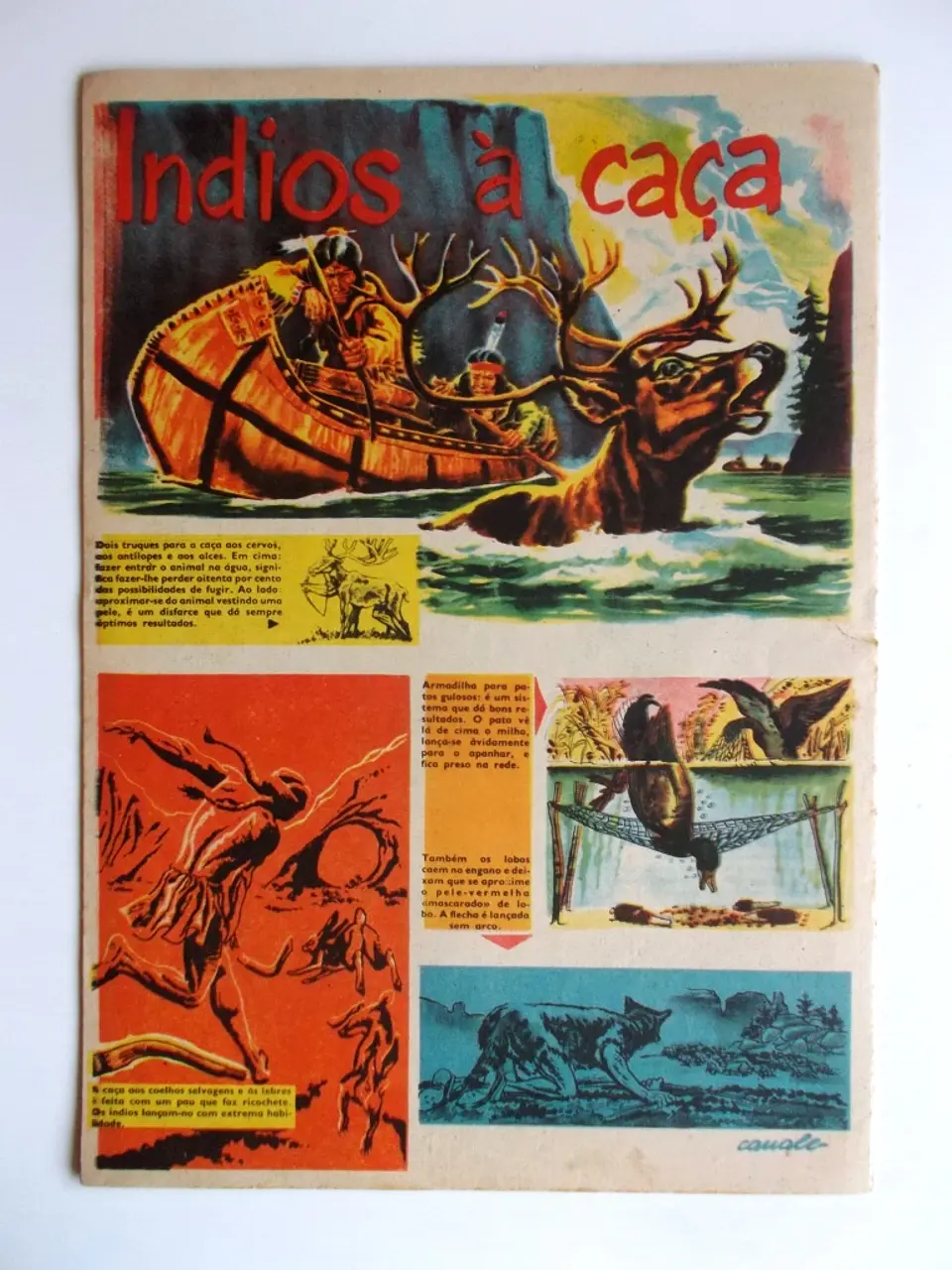 Cavaleiro Andante 347 3