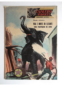 Cavaleiro Andante 350