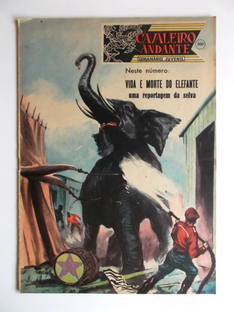Cavaleiro Andante 350 1