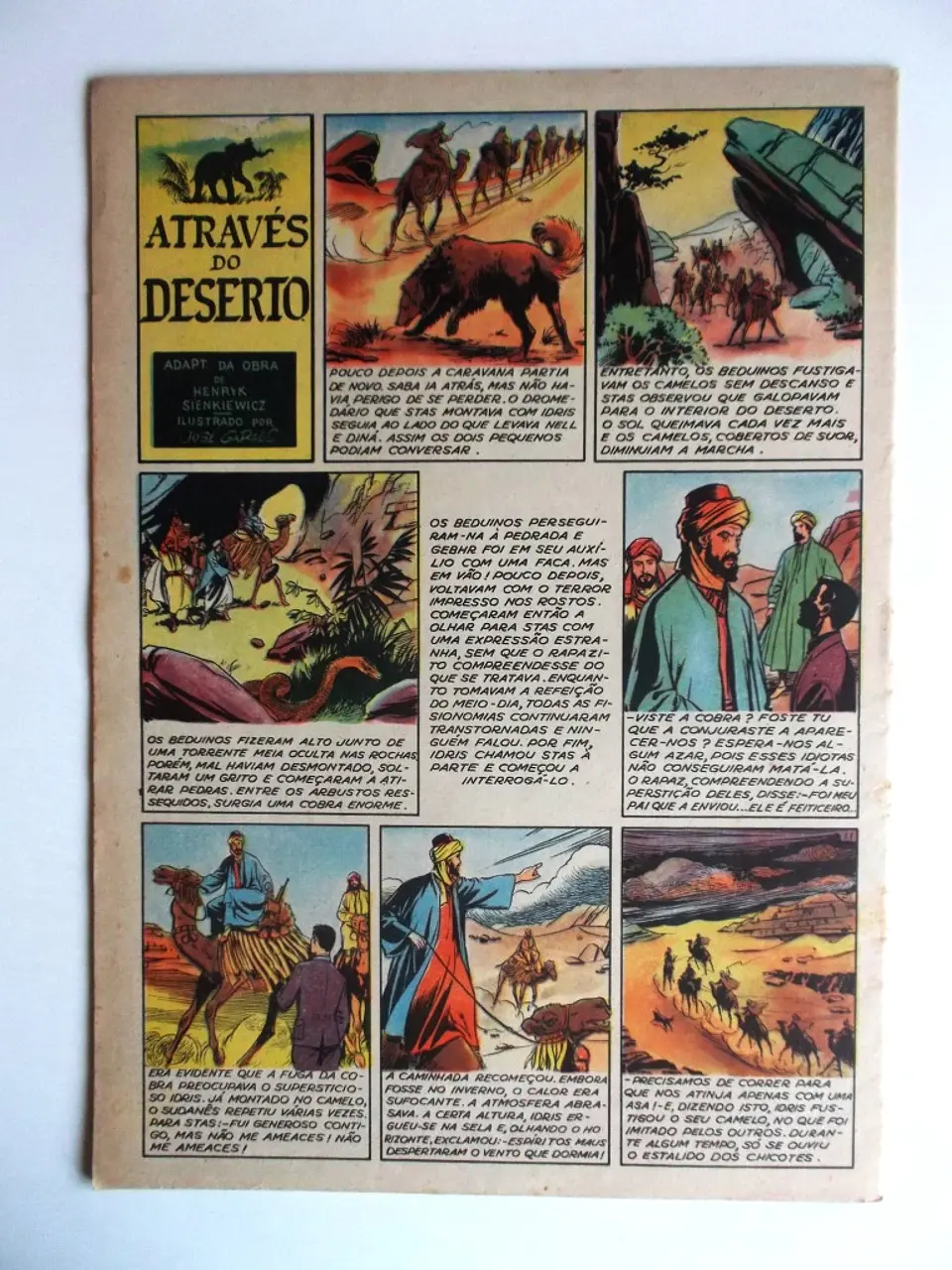 Cavaleiro Andante 351 3