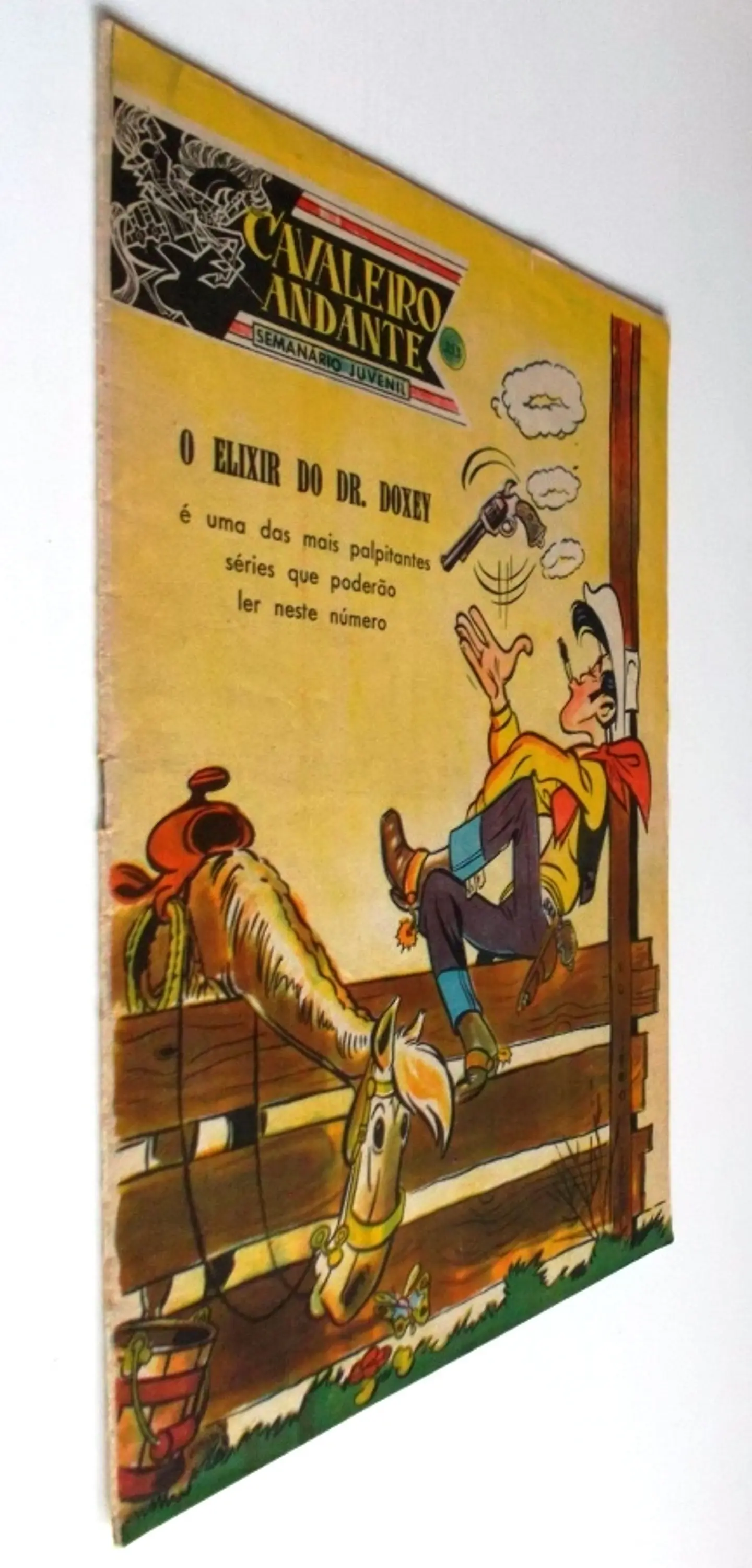 Cavaleiro Andante 353 2
