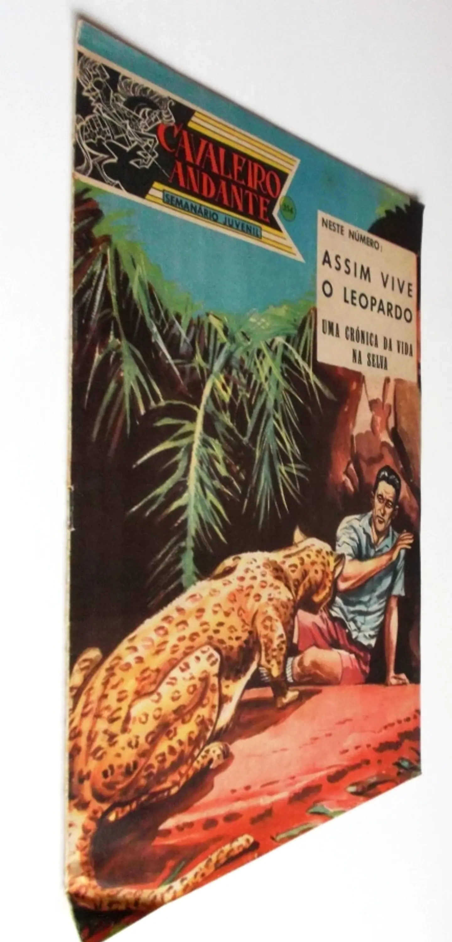 Cavaleiro Andante 354 2