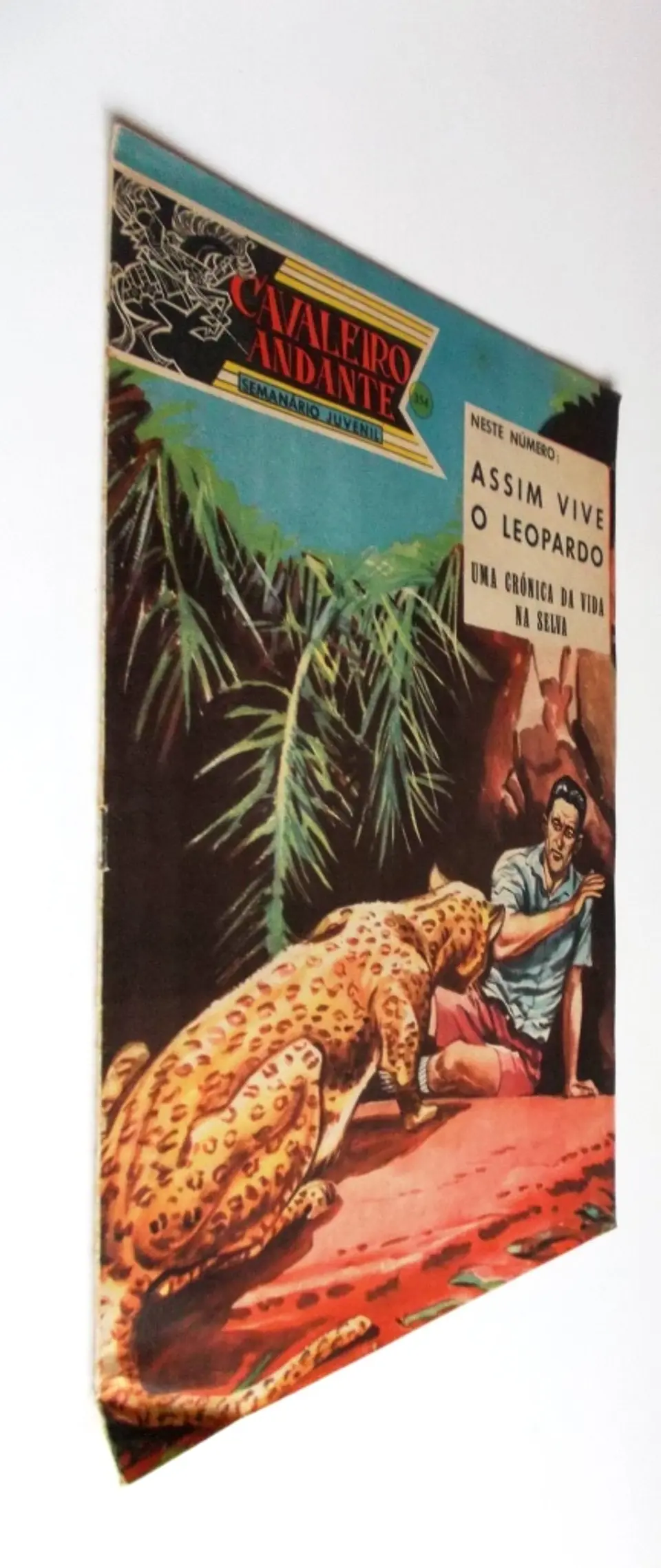 Cavaleiro Andante 354 2