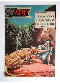 Cavaleiro Andante 354