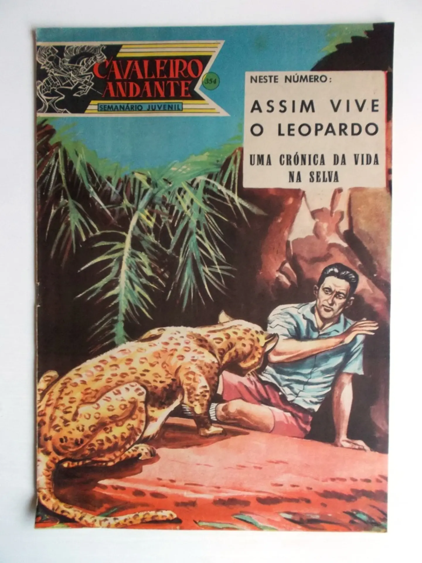 Cavaleiro Andante 354 1