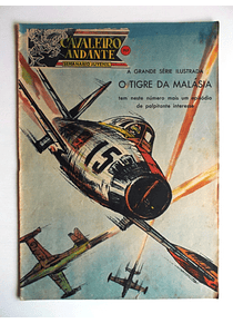 Cavaleiro Andante 365