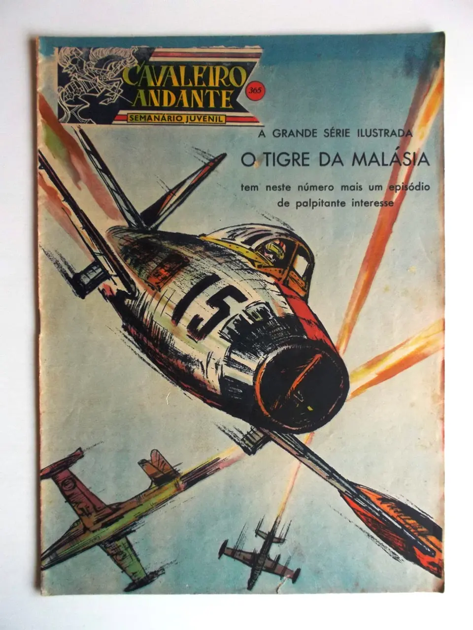 Cavaleiro Andante 365 1