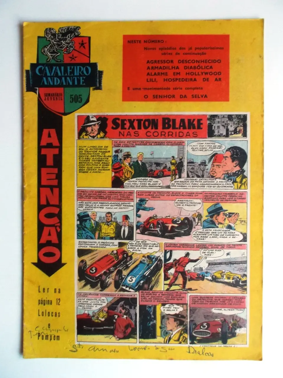 Cavaleiro Andante 505 1