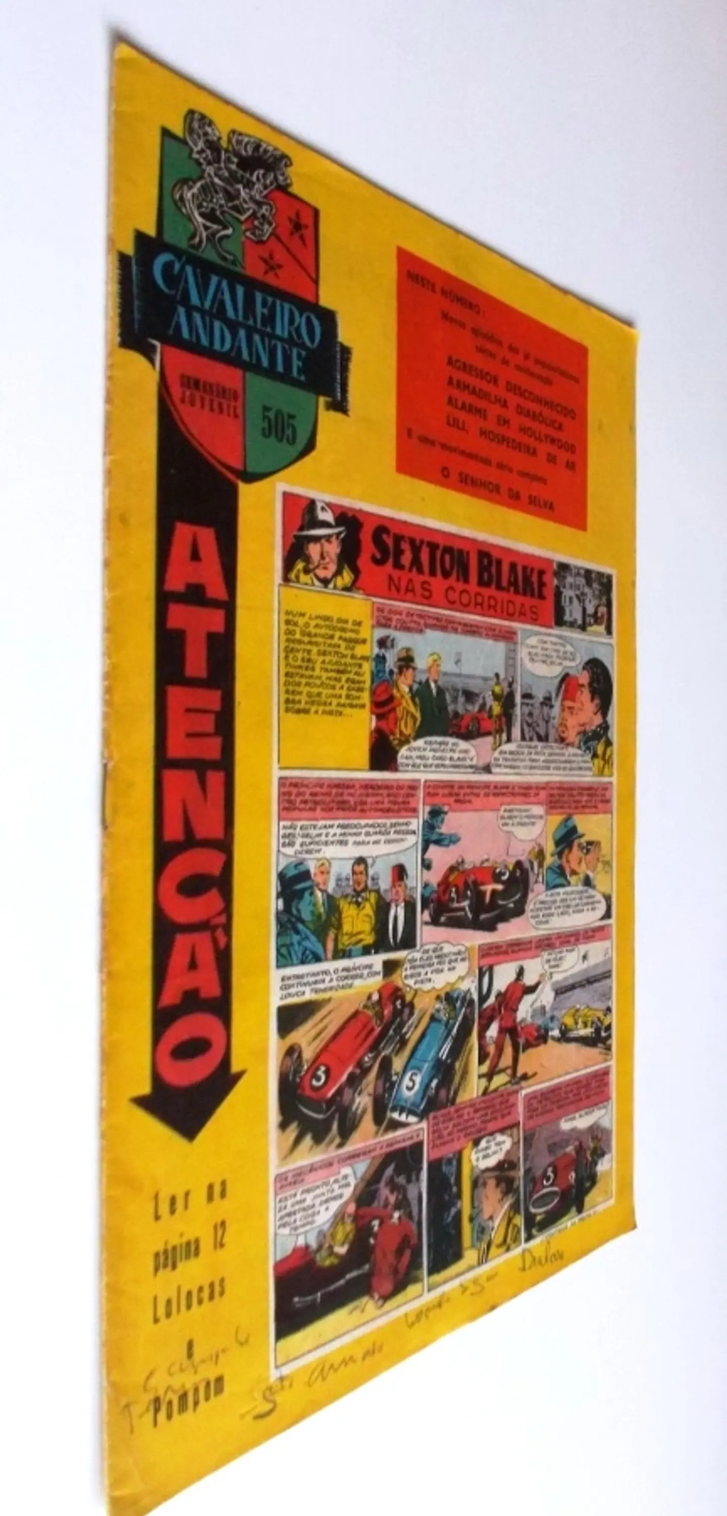 Cavaleiro Andante 505 2