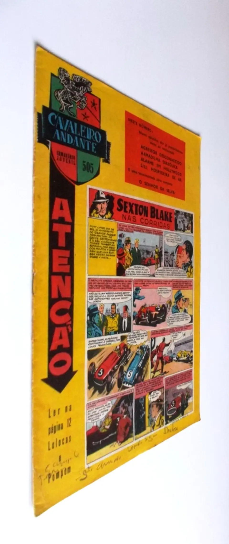 Cavaleiro Andante 505 2