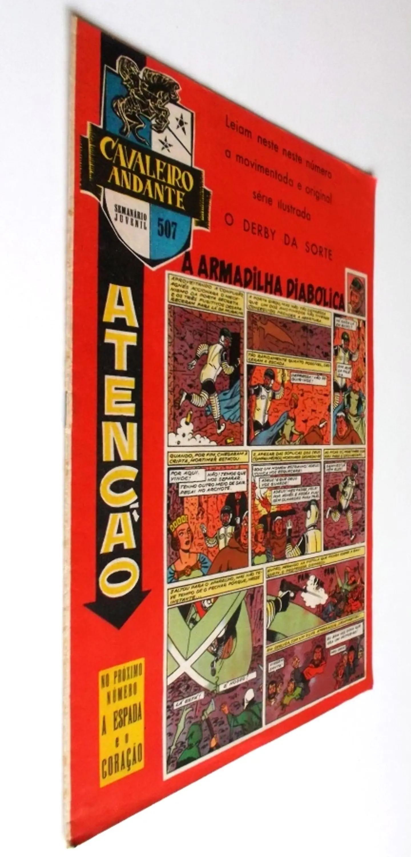 Cavaleiro Andante 507 2