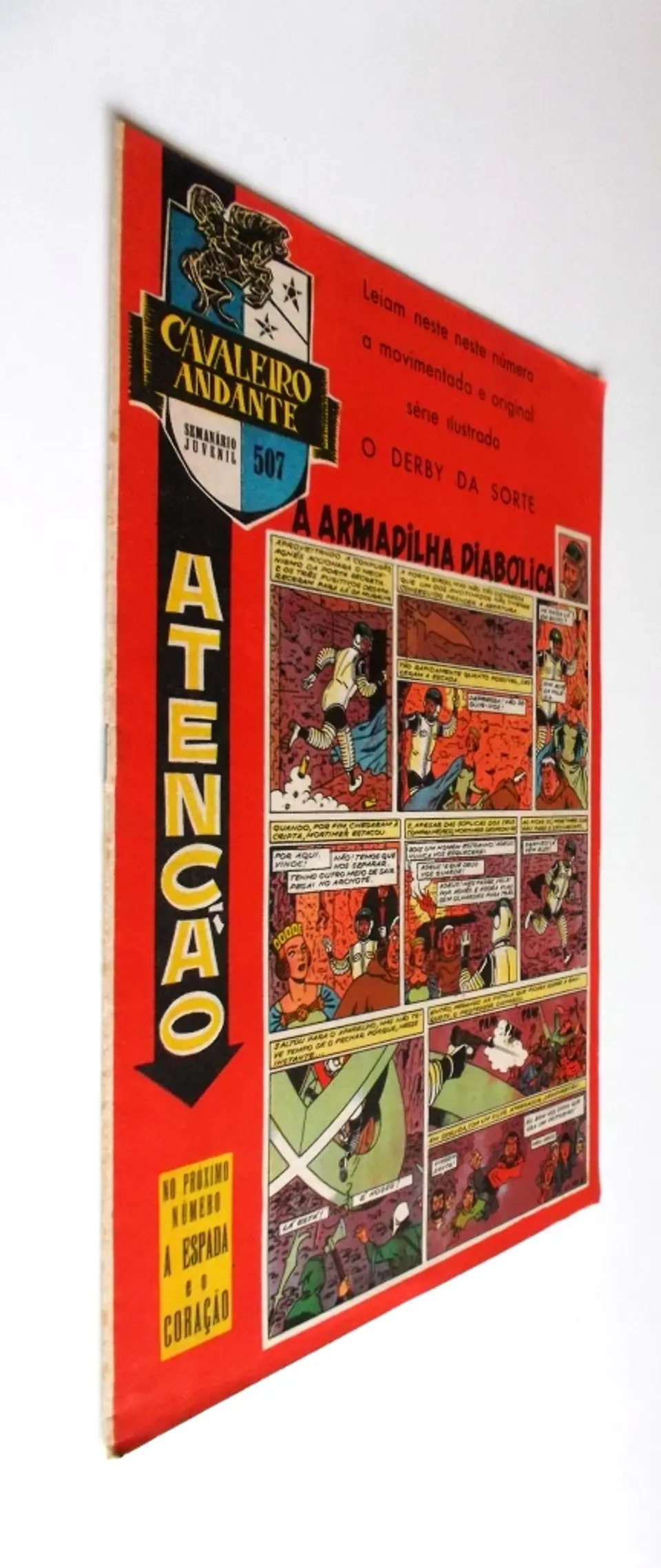 Cavaleiro Andante 507 2