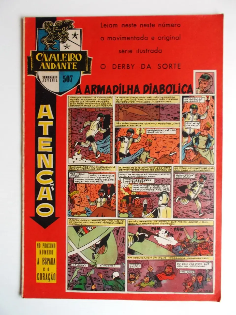 Cavaleiro Andante 507 1